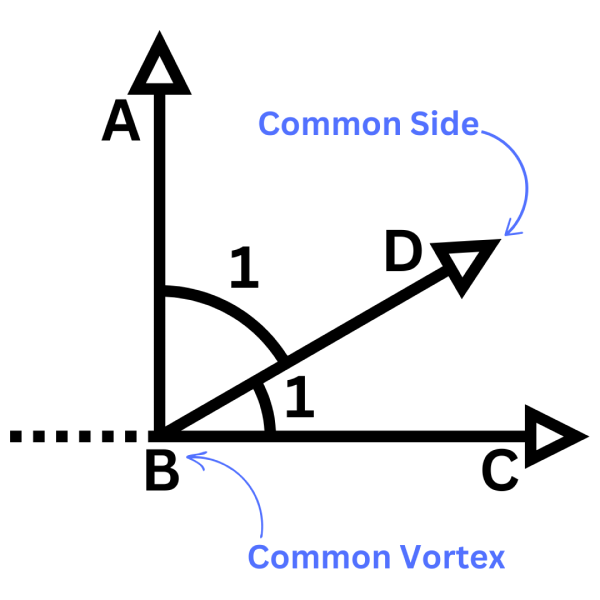 Adjacent Angles Diagram